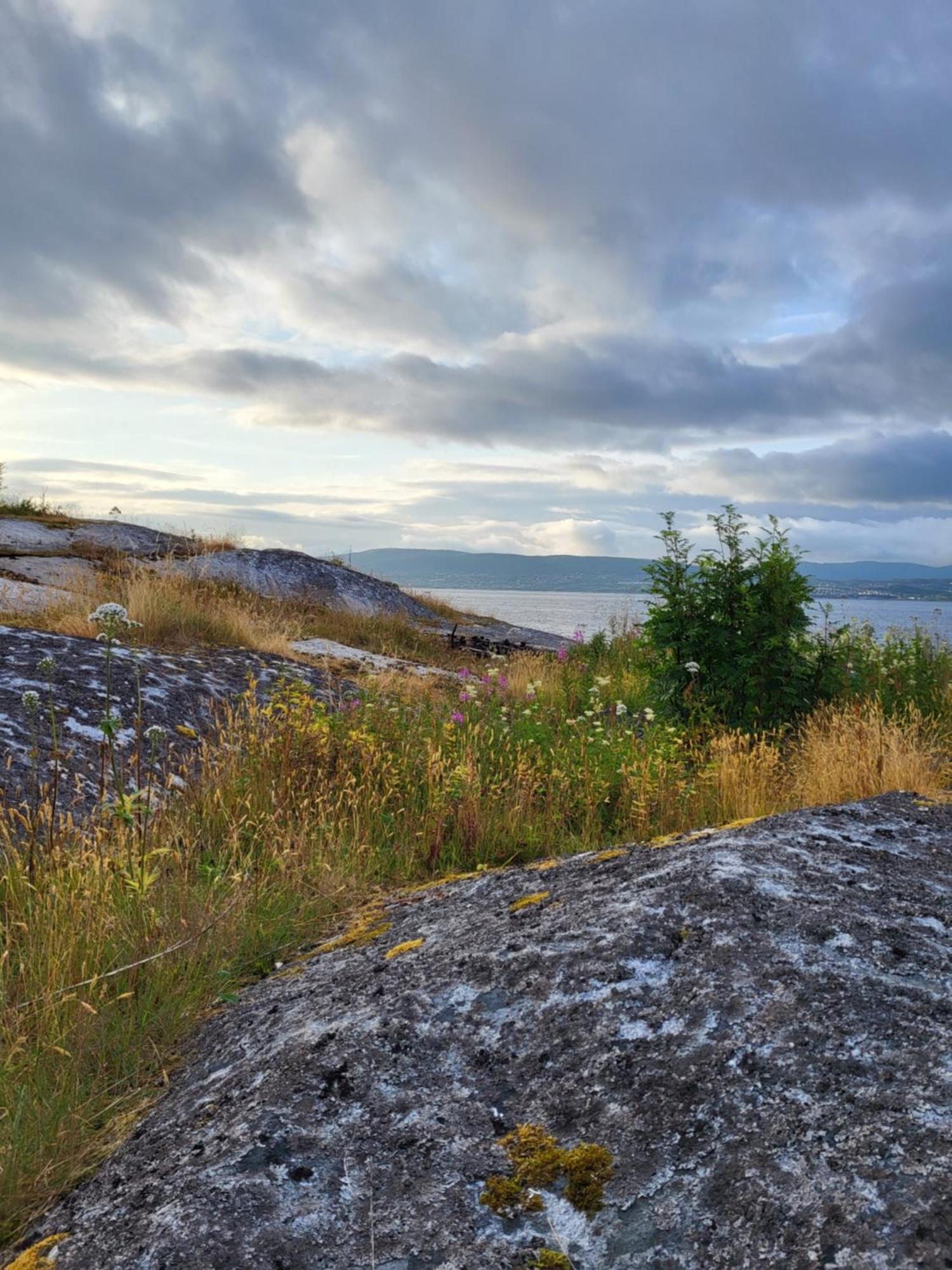 Paul'S House Villa Saltstraumen ภายนอก รูปภาพ